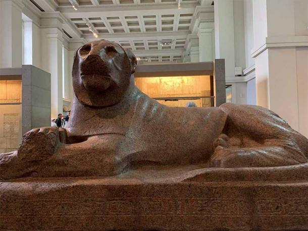 One of two colossal granite lions of Amenhotep III, commissioned by the pharaoh for his temple of Soleb in Upper Nubia. British Museum (Image: Courtesy Jonathon Perrin)