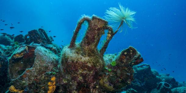 A few of the thousands of amphorae clay jugs in the protected site area (NOUS)