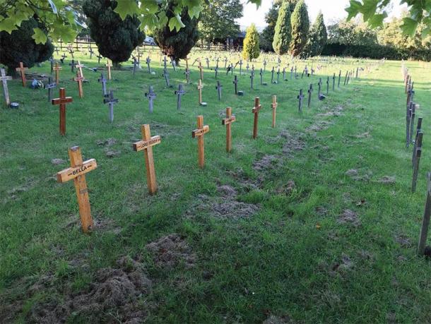 Croix en bois des pierres tombales caractéristiques du cimetière pour animaux de Buena Vista, Leicestershire. (K. Bridger / Antiquité)