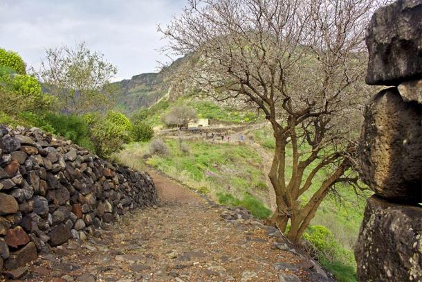Un antiguo camino a las ruinas de Gamla, Israel, donde se robaron artefactos que luego se informaron como malditos y devueltos. (Roberto/Adobe Stock)