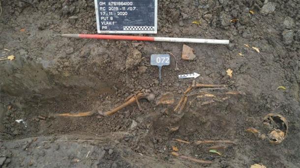 Uno de los esqueletos encontrados en la fosa común de Vianen, Países Bajos. (De Steekproof)