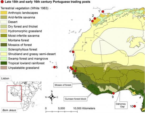 Vegetación terrestre y puestos comerciales portugueses a finales del siglo XV y principios del XVI. (de Flamingh et al./ Current Biology 2020)
