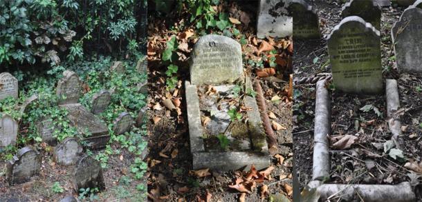 Exemple d'utilisation de pierres de corps, de bordures et de pierres tombales pour ressembler à l'apparence d'un lit au Hyde Park Pet Cemetery. (Photographie de E. Tourigny, prise avec l'autorisation de The Royal Parks / Antiquity)