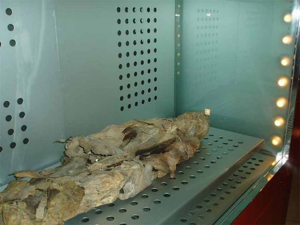 Former mummified inhabitant of the Canary Islands, located in the Museum of Nature and Man of Santa Cruz de Tenerife. Known as the "Mummy of San Andrés. (Cardenasg/CC BY-SA 3.0)