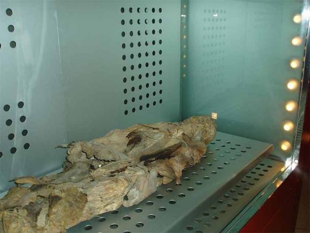Former mummified inhabitant of the Canary Islands, located in the Museum of Nature and Man of Santa Cruz de Tenerife. Known as the 