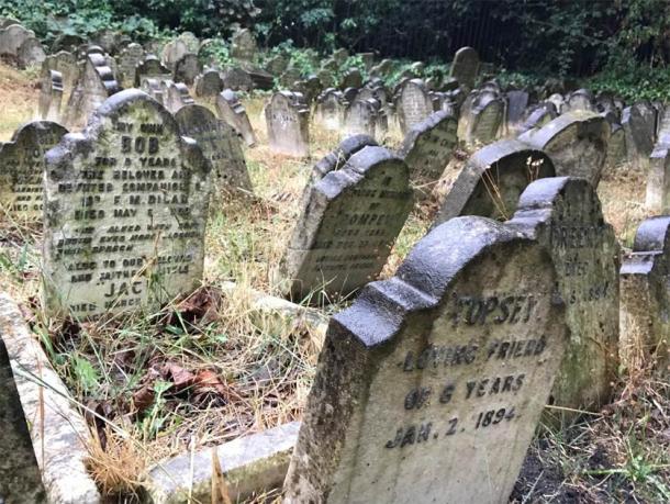 Gravestones at one of the pet cemeteries. (E. Tourigny/Antiquity)