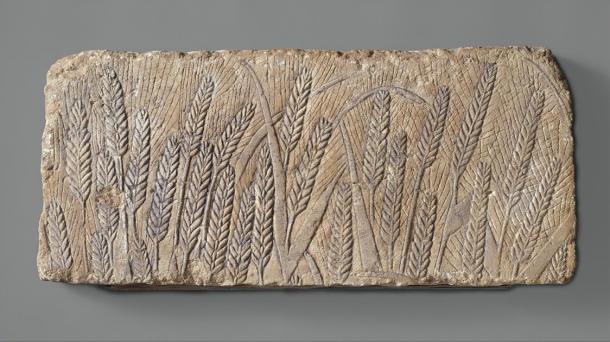 A beautiful carving of ripe barley, from an Amarna talatat block. It shows life-size ears of barely, delicately carved, swaying in a gentle breeze, in a form of art never before seen in Egypt, but typical of the naturalistic art of Akhenaten (Met Museum / Public domain)