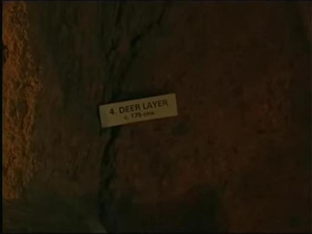 Level 4. Deer level. (Provided by author)