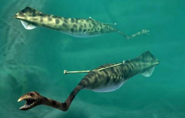 Artist’s impression of Tullimonstrum, the Tully Monster
