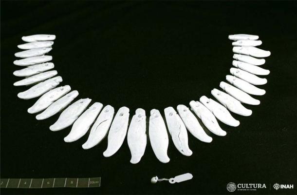 The impressive necklace found at Cima de San Jose site. (INAH Tamaulipas)