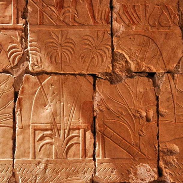 A relief depicting incense and myrrh trees obtained in Hatshepsut's expedition to Punt.