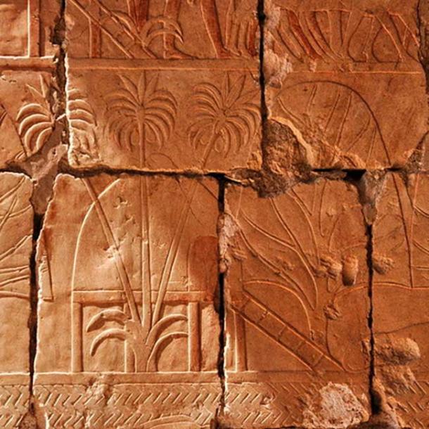 A relief depicting incense and myrrh trees obtained in Hatshepsut's expedition to Punt. 