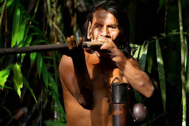 An indigenous hunter of the Amazon basin with a blowgun. (Ammit / Adobe Stock)