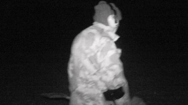 Infrared cameras catch a nighthawk in action.