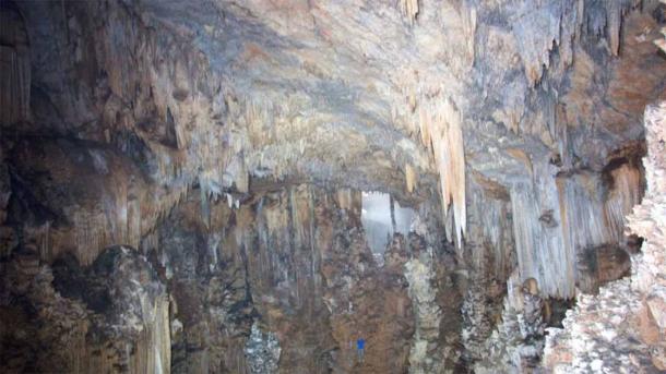 El interior de la Cueva del Terror de Medianoche en Belice, con una persona en azul a escala. (Universidad Estatal de California, Los Ángeles)