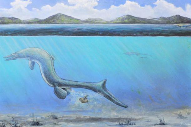 An artist’s interpretation of a baby mosasaur emerging from an egg. (John Maisano / Jackson School of Geosciences - University of Texas)
