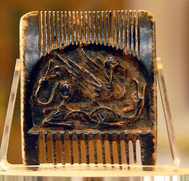 The Jedburgh Comb, a comb found in Jedburgh Abbey
