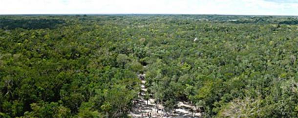 Miles and miles of jungle, as seen from the top of the Mayan Nohoch Mul pyramid on the northern edge of the Cobá archeological site. (Ken Thomas / Public Domain)