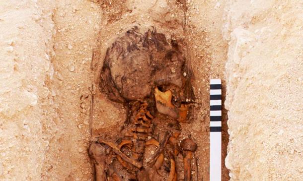 A juvenile burial under excavation at the North Tombs Cemetery, Amarna, Egypt. Photograph: Mary Shepperson/Courtesy of The Amarna Project