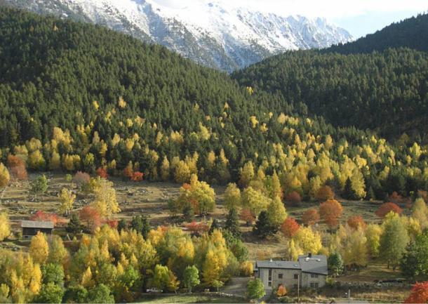 Marguerite de la Rocque owned substantial amounts of land in Languedoc, France