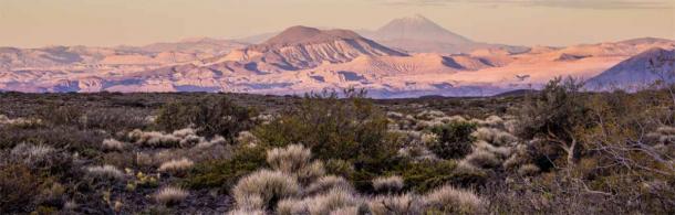 View from CH1 of the volcanic landscape of north western Patagonia. (Guadalupe Romero Villa/ Science Advances)