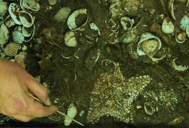 The largest Aztec starfish altar was found last year in the biggest temple, Templo Major, in the ancient city of Tenochtitlán (Mexico City) along with jaguar bones and countless seashells. (INAH)