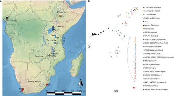 The latest African genetic research on what happened in Africa after modern man had entered Eurasia focused on remains and artifacts found at these sites in Sub-Saharan Africa. (Nature)