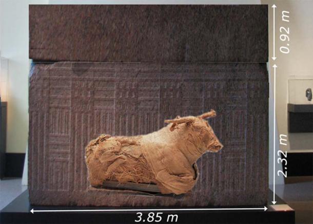Un poco de Photoshop para comparar el tamaño de un toro (que mide unos 2,3 metros de largo) y un sarcófago de Serapeum basado en la medición de Linant-Bey. Esta es una típica momia de toro de la época dinástica. (alma-guidance.com)