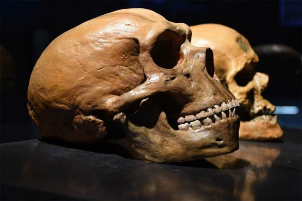 The long history of mating between Denisovans, humans, and Neanderthals has only recently been demonstrated through the analysis of ancient genomes. (Bruder /Adobe Stock)