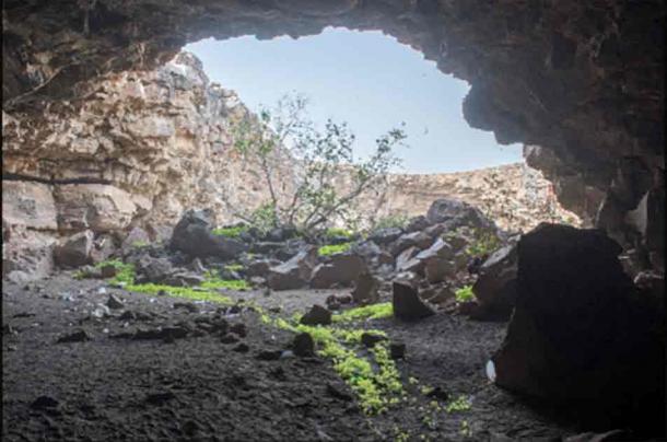 Looking out of entrance to Umm Jirsan. (Trench 1 just out of view on right). (Stewart et al. /PLoS ONE)
