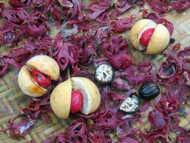 Nutmeg and mace (David Stanley Travel / CC BY 2.0)