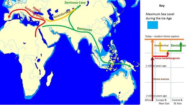 The map shows spread and evolution of Denisovans.