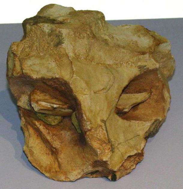 The mask of la Roche-Cotard. 