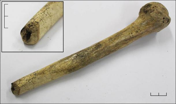 Some massacre injuries did not kill the victims immediately, and they survived for some time after the attack. (Antiquity Publications Ltd)