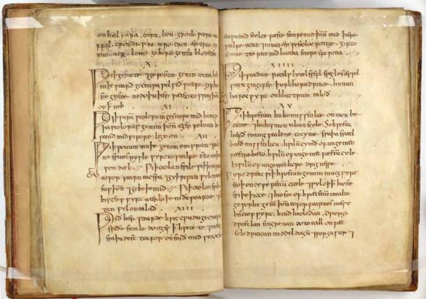 El nuevo estudio volvió a examinar tres textos médicos medievales, incluido Bald's Leechbook, que se encuentra en la Biblioteca Británica, Royal MS 12 D XVII, ff. 20v-21r. (Dominio publico)