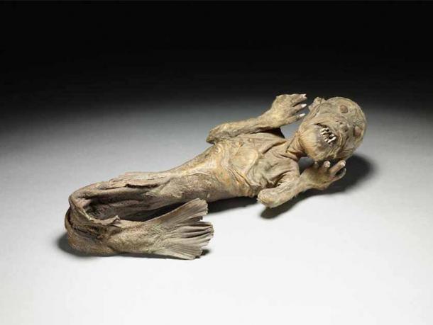 Una momia de sirena similar a la sirena del Templo de Enjuin, con la parte superior del cuerpo de un simio y una cola de pez, actualmente se encuentra en el Museo Británico. (Los administradores del Museo Británico / CC BY-NC-SA 4.0)