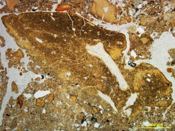 A microscopic view of hyena coprolite (fossilized excrement) including pieces of bone. (Mike Morley/The Conversation)