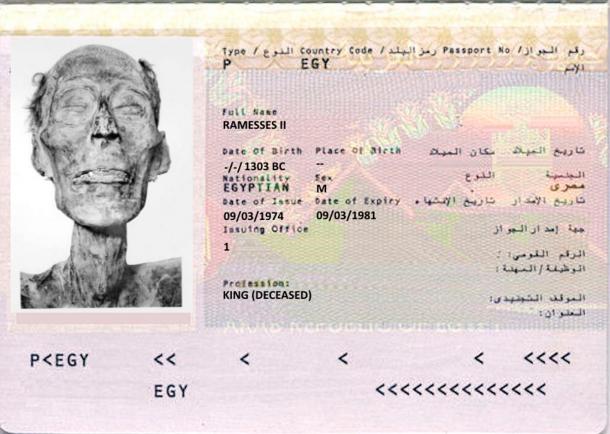 A mock up for the only mummy with a passport. Ramesses II