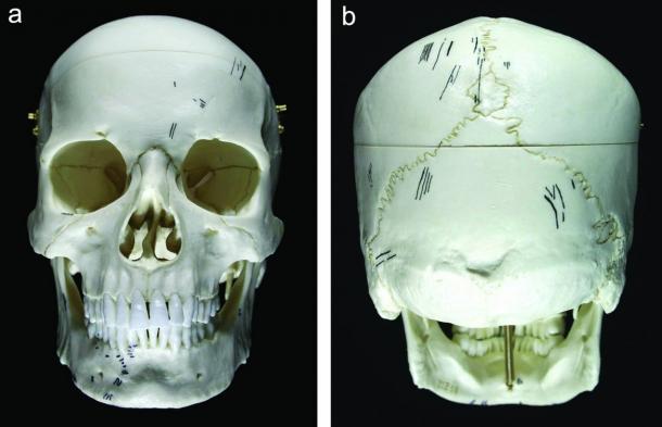skull and bones ritual