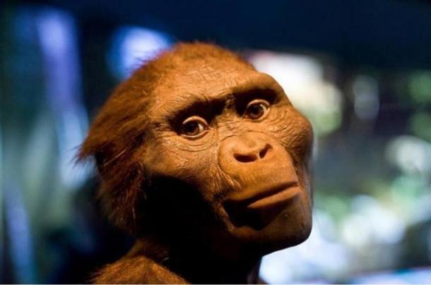 The Hidden Treasures of Ethiopa’ exhibit at Houston Museum of Natural Science featuring a model of “Lucy”, Australopithecus Afarensis.