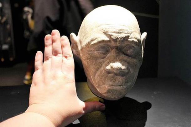 El modelo de una cabeza femenina de Homo floresiensis con una mano humana moderna, en el Museo de Historia Natural de Londres, Inglaterra. (Emöke Dénes/ CC BY-SA 4.0)