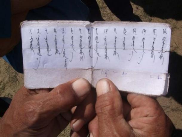 A modern Mongolian horse ledger
