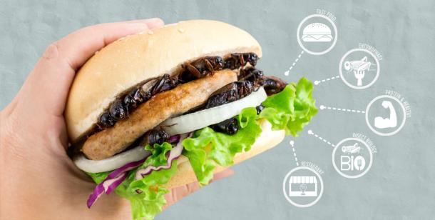 The modern cricket burger is already for sale in places like the Netherlands and one day we may have to resort more to eating insects as meat becomes too environmentally expensive. (nicemyphoto / Adobe Stock)