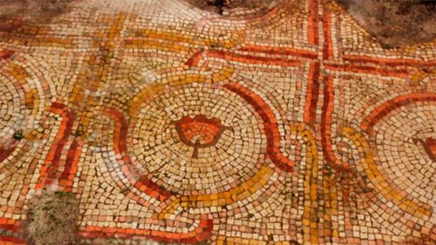 The mosaic includes what looks like kalaniyot or anemones, which are flowers found on the hillside. (Emil Algam/IAA)