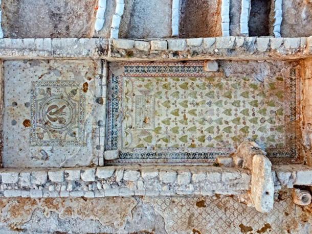 Mosaicos descubiertos en el suelo de la iglesia bizantina. (Assaf Peretz/Autoridad de Antigüedades de Israel)