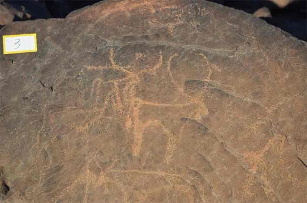 The most common image in the local rock art was of cattle. (Julien Cooper/The Conversation)