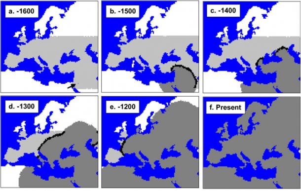 mtDNA-based simulation of modern human expansion in Europe starting 1600 generations ago. Neanderthal range in light grey