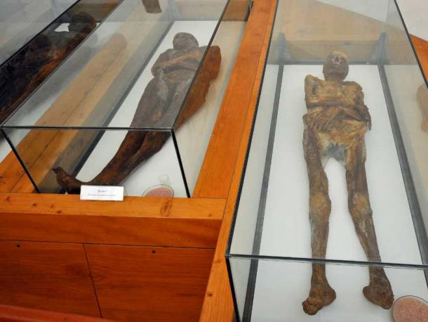 Các xác ướp Venzone vẫn được trưng bày trong Nhà nguyện Nghĩa trang Thánh Michael (Jean-Marc Pascolo / CC BY SA 3.0)