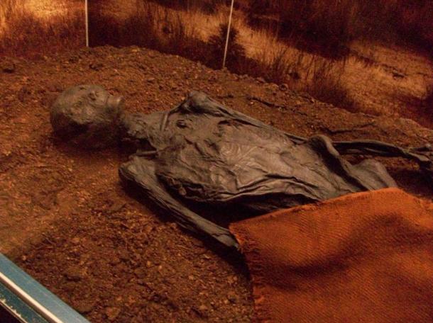 The naturally mummified bog body of the Man of Rendswühren from Germany, dated to the Roman Iron Age of the 1st or 2nd century AD