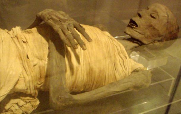 The mummified remains of ‘Usermontu’. 